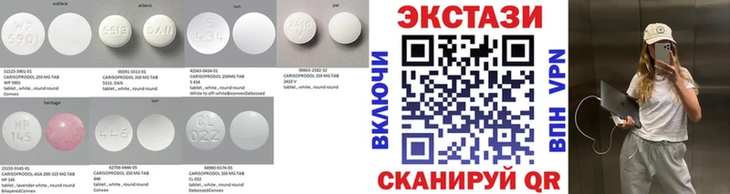 Купить Волхов Экстази Philipp Plein