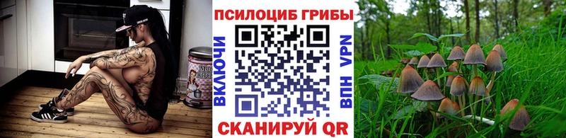 Купить закладки  Волхов  Галлюциногенные грибы ЛСД 